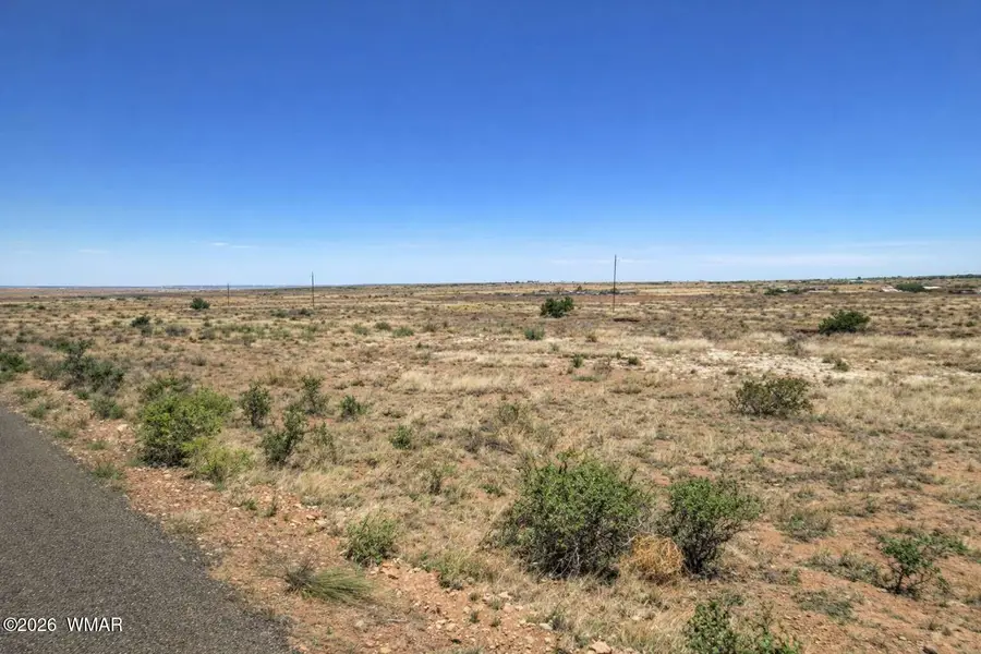 16 County Road 6016, Saint Johns, AZ 85936 - #2