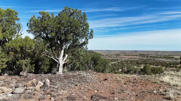 4450 S Freedom Circle, Taylor, AZ 85939