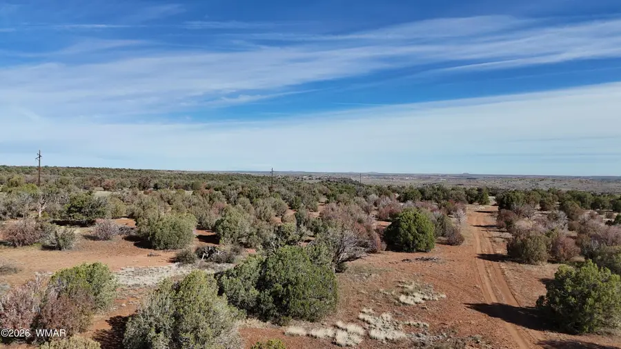 4450 S Freedom Circle, Taylor, AZ 85939 - #3