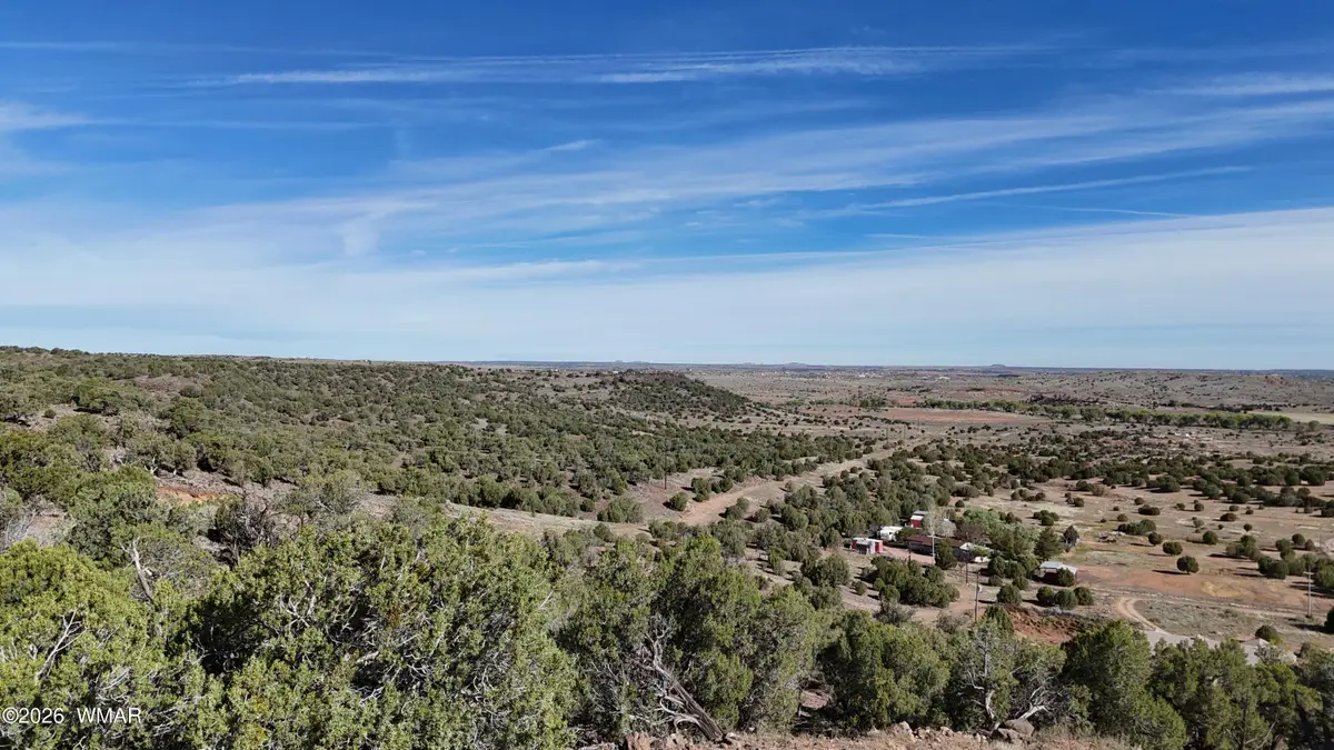 TBD S Freedom Circle, Shumway, AZ 85901 - #1