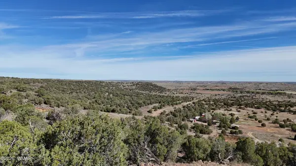 TBD S Freedom Circle, Shumway, AZ 85901