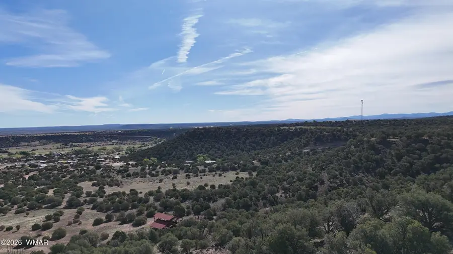 TBD S Freedom Circle, Shumway, AZ 85901 - #3