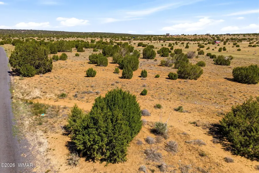 92 County Road, Concho, AZ 85924 - #2