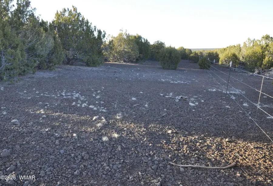 26C Ranch Road, Show Low, AZ 85901 - #2