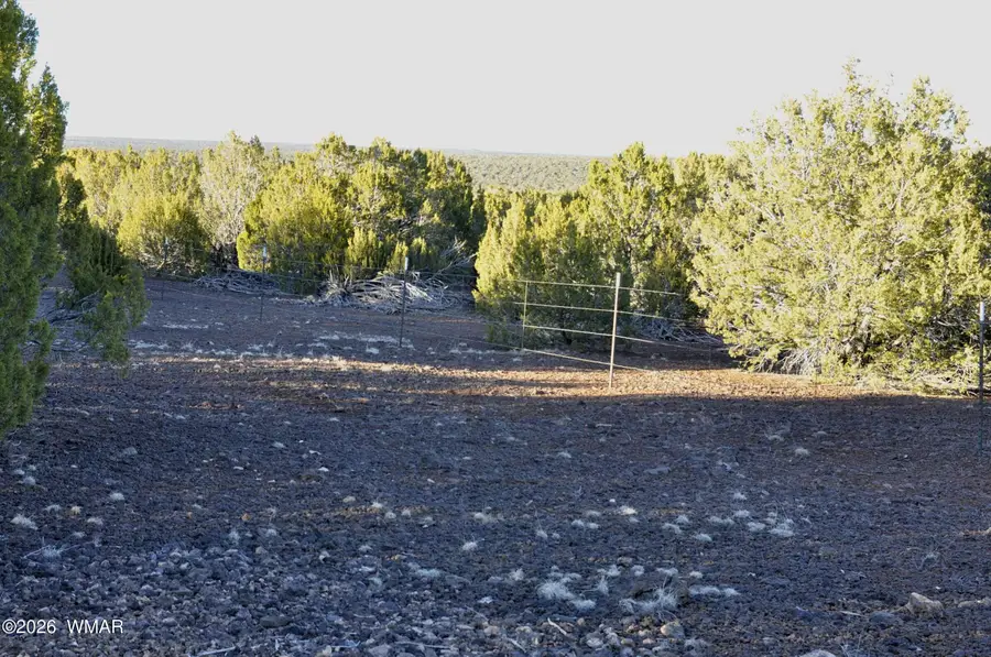 26C Ranch Road, Show Low, AZ 85901 - #3