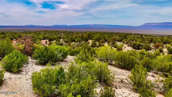 31326 Calle Barril, Seligman, AZ 86337