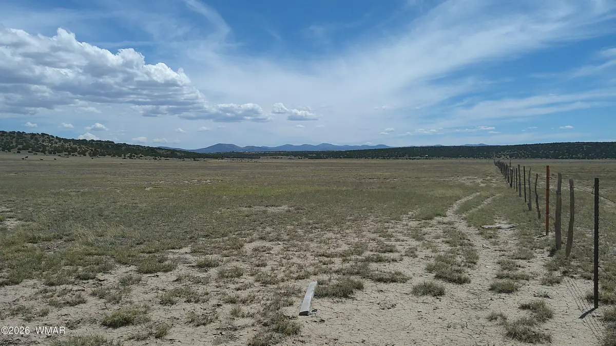 TBD Windsor Valley Ranch 40, Concho, AZ 85924 - #1