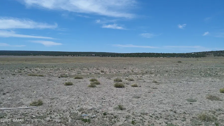 TBD Windsor Valley Ranch 40, Concho, AZ 85924 - #3
