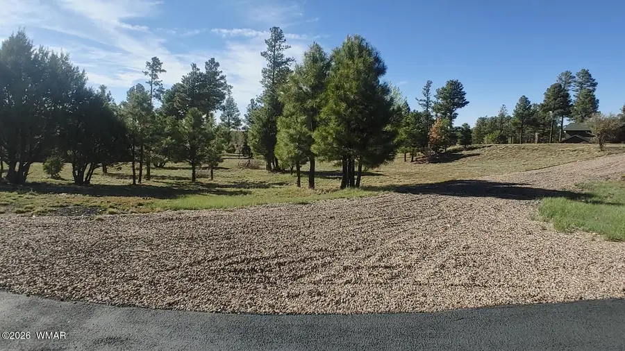 2254 Big Bear Circle, Overgaard, AZ 85933 - #2