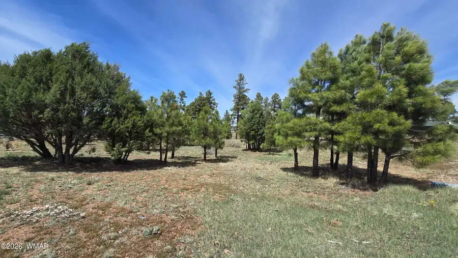 2254 Big Bear Circle, Overgaard, AZ 85933 - #3