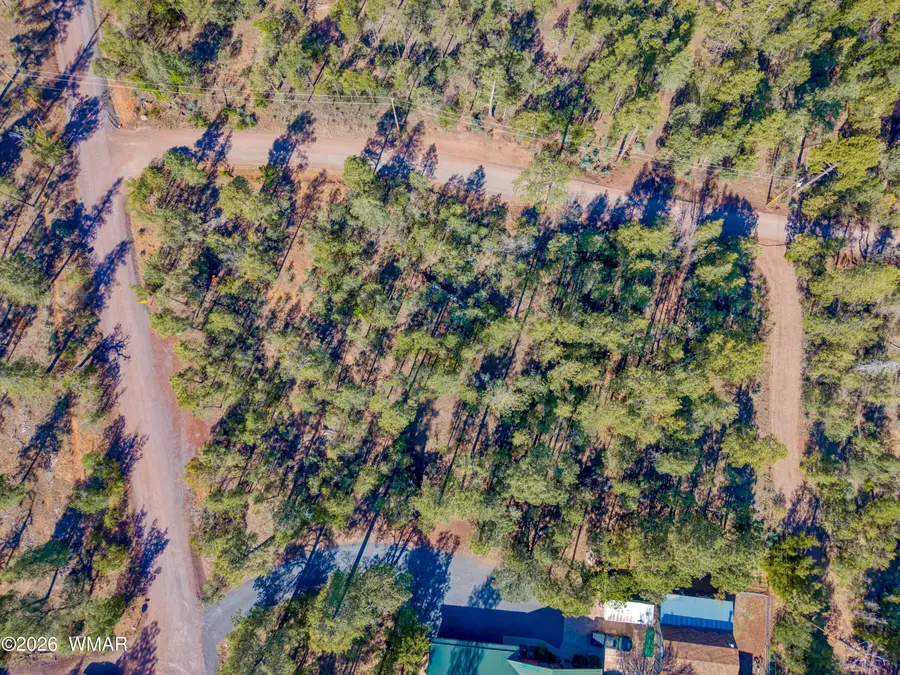 5222 High Drive, Lakeside, AZ 85929 - #3