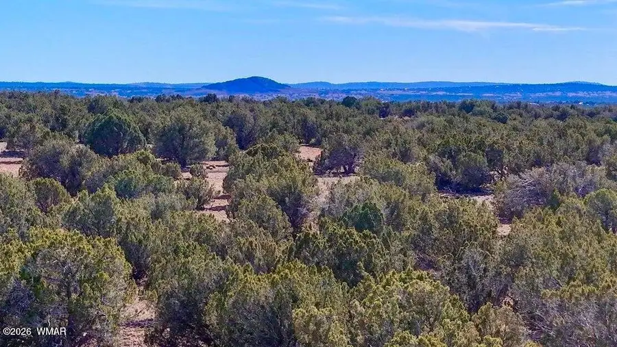 9023 Appaloosa Lot C 10 Acres Trail, Show Low, AZ 85901 - #3