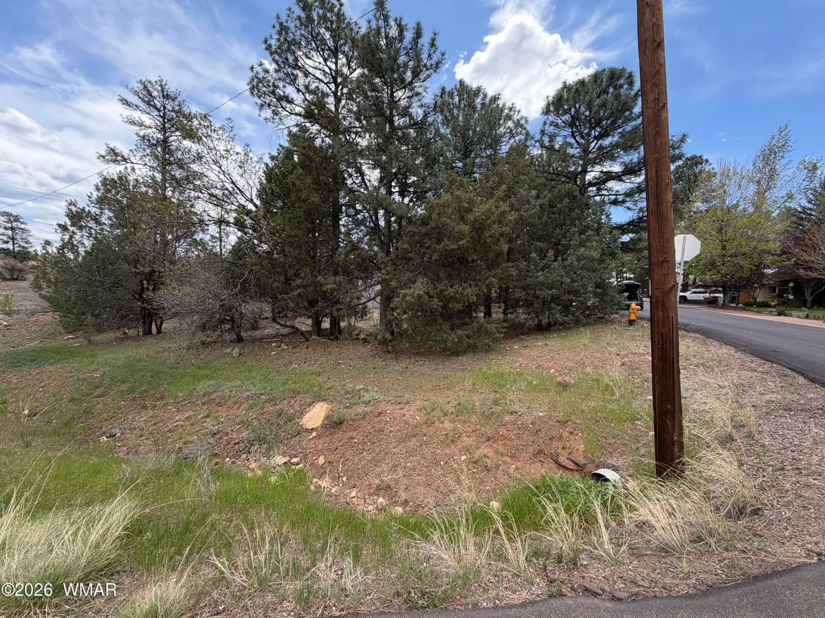261 N 1st Drive, Show Low, AZ 85901 - #1