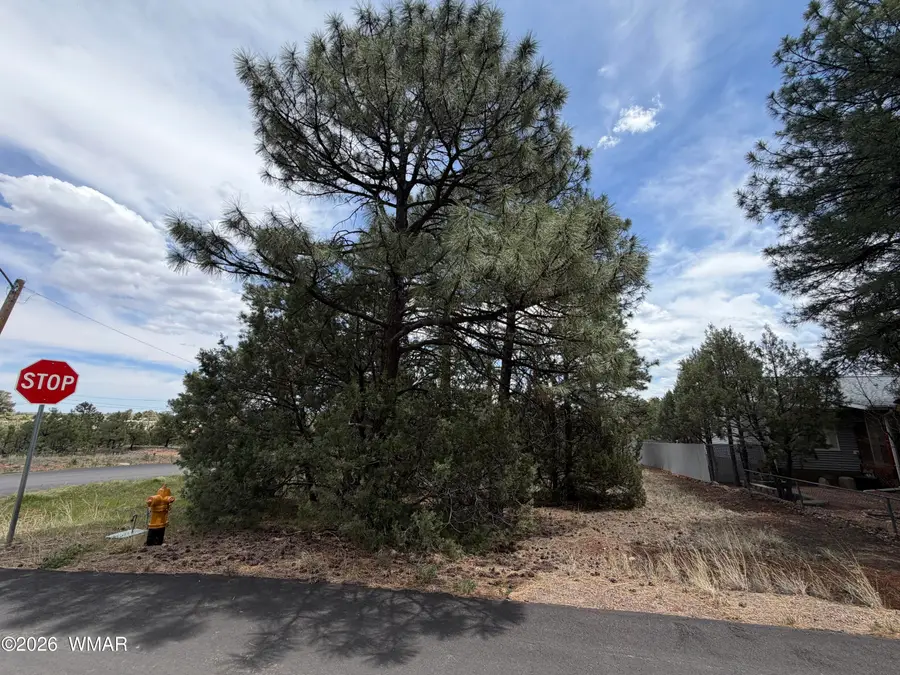 261 N 1st Drive, Show Low, AZ 85901 - #2