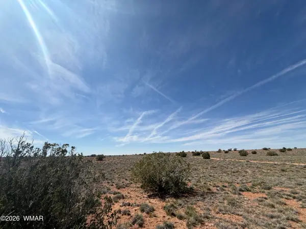 7809 Privette Lane, Snowflake, AZ 85937