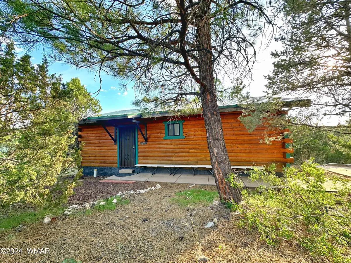 3403 Top View Road, Overgaard, AZ 85933 - #1