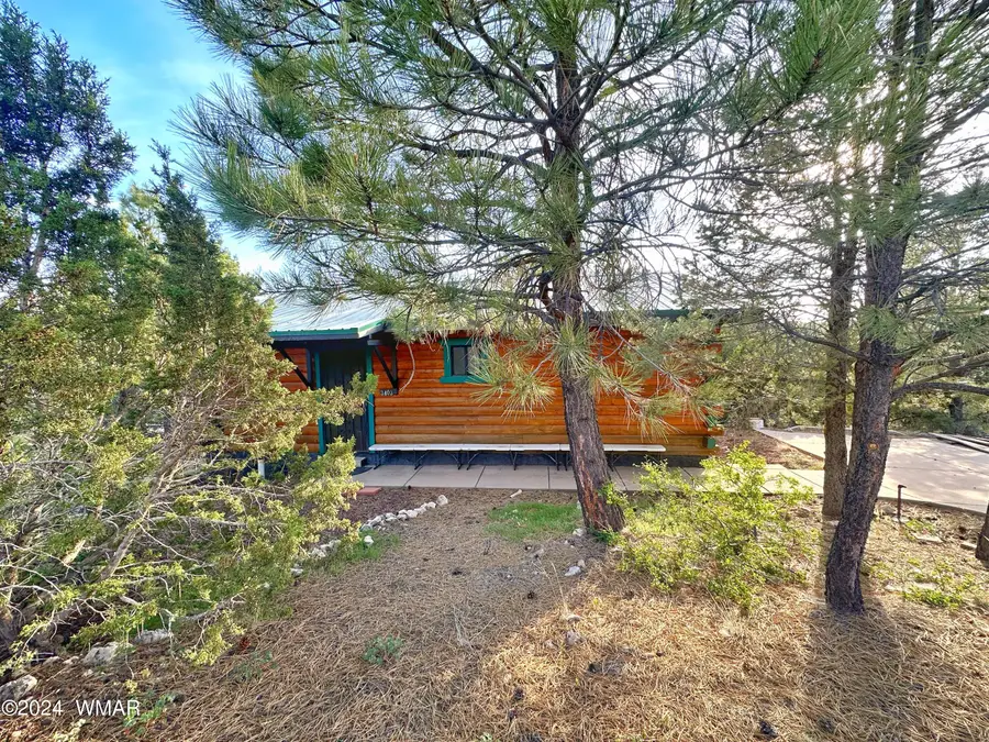 3403 Top View Road, Overgaard, AZ 85933 - #2