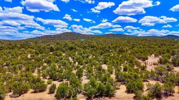 15 Co Rd 3037 1.14 Acres, Vernon, AZ 85940