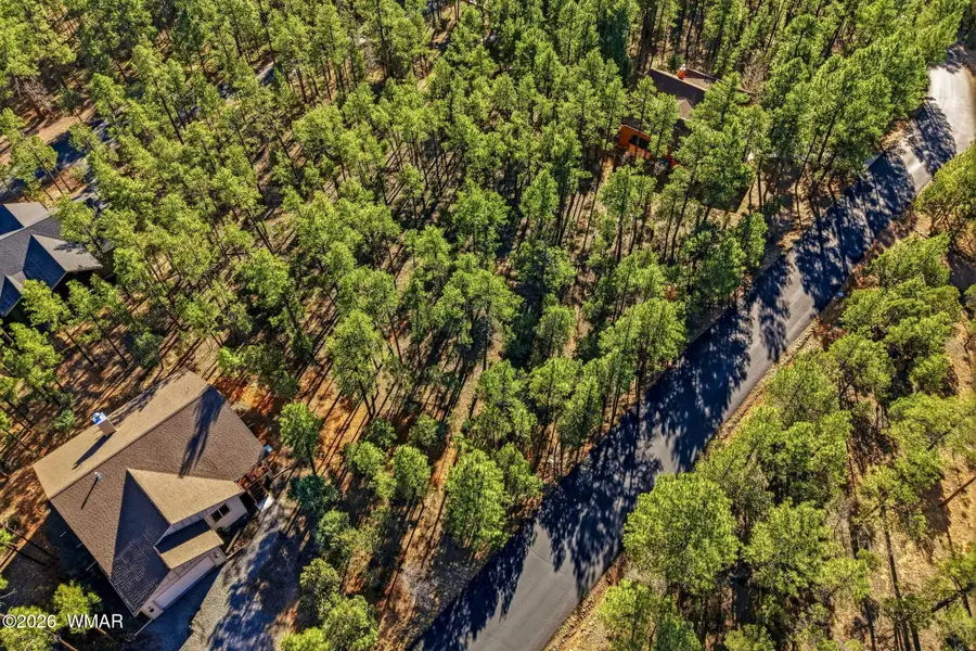 1400 E Pine Oaks Drive, Show Low, AZ 85901 - #3