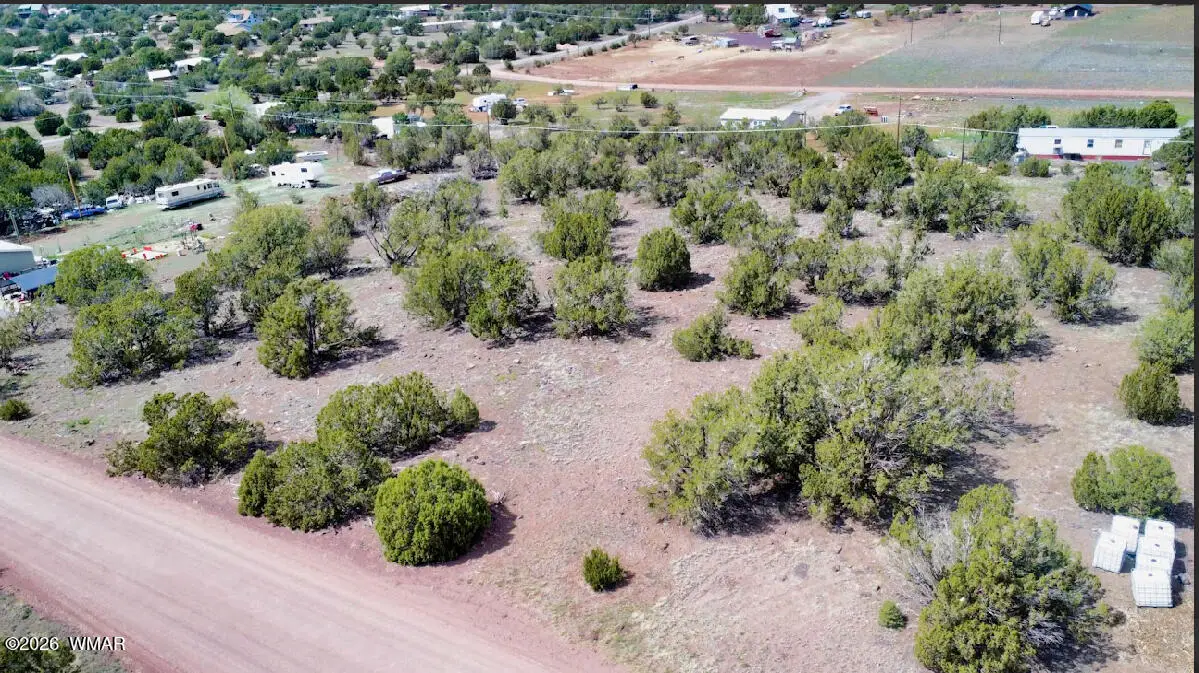 8522 Big Bear Drive, Show Low, AZ 85901 - #1