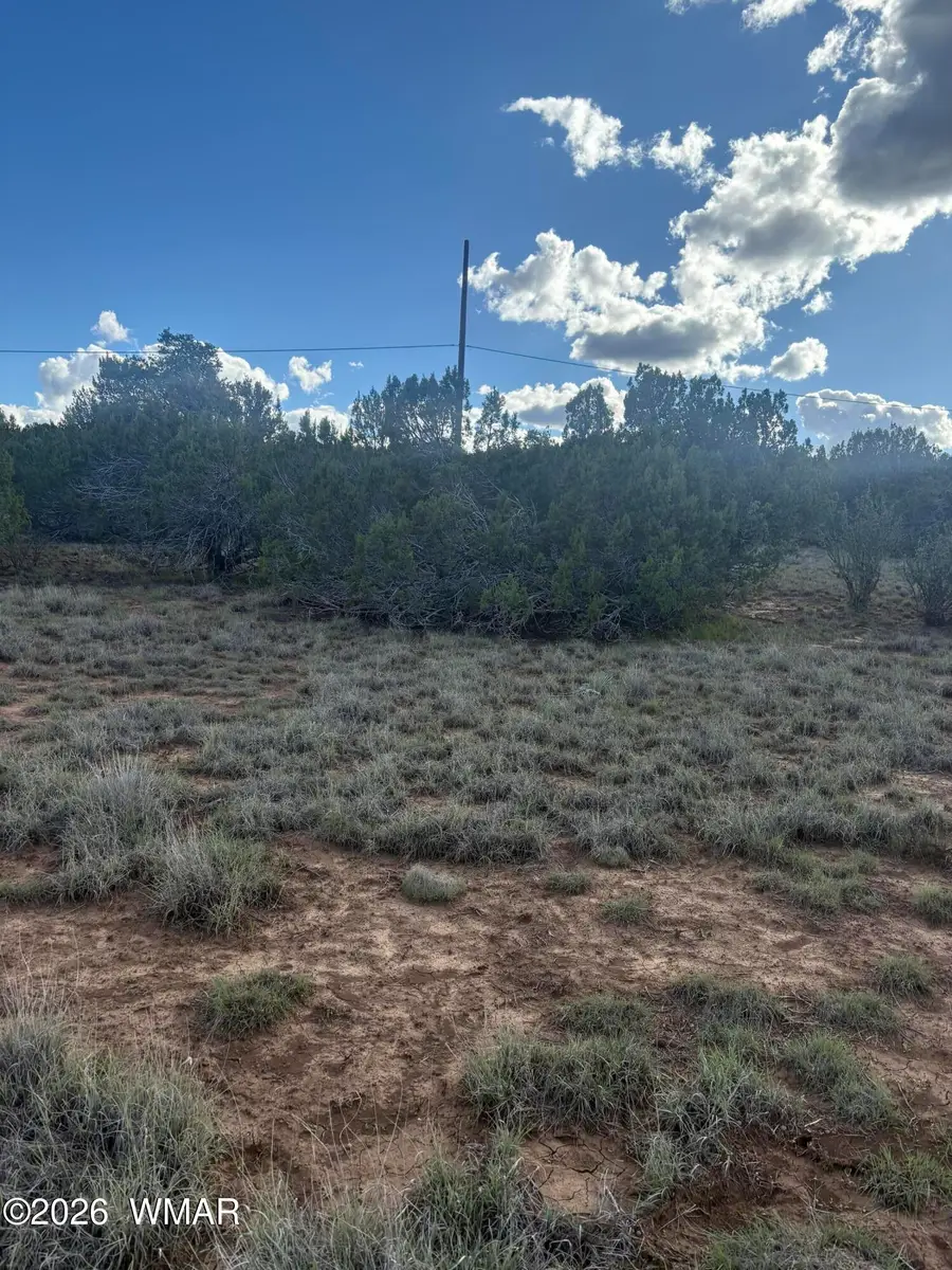 25 County Road 8238 Road, Vernon, AZ 85940 - #2