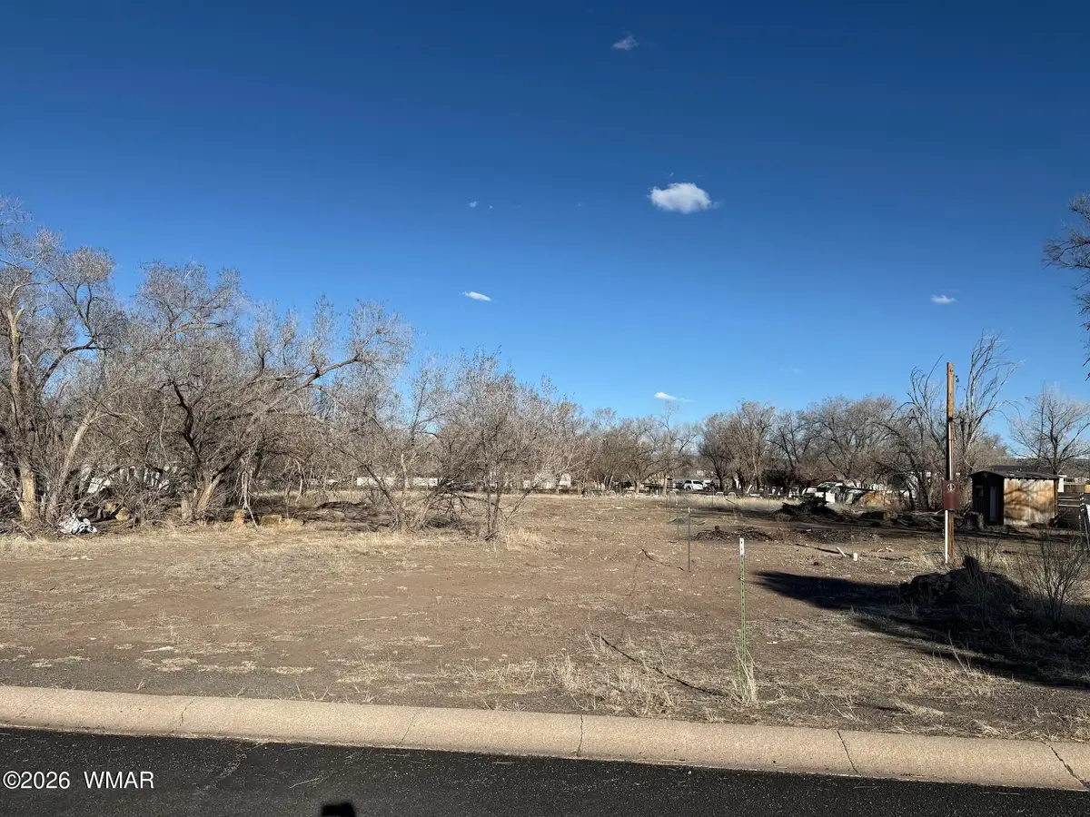 TBD Us-180, Springerville, AZ 85938 - #1