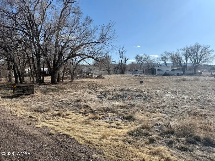 TBD Us-180, Springerville, AZ 85938 - #3
