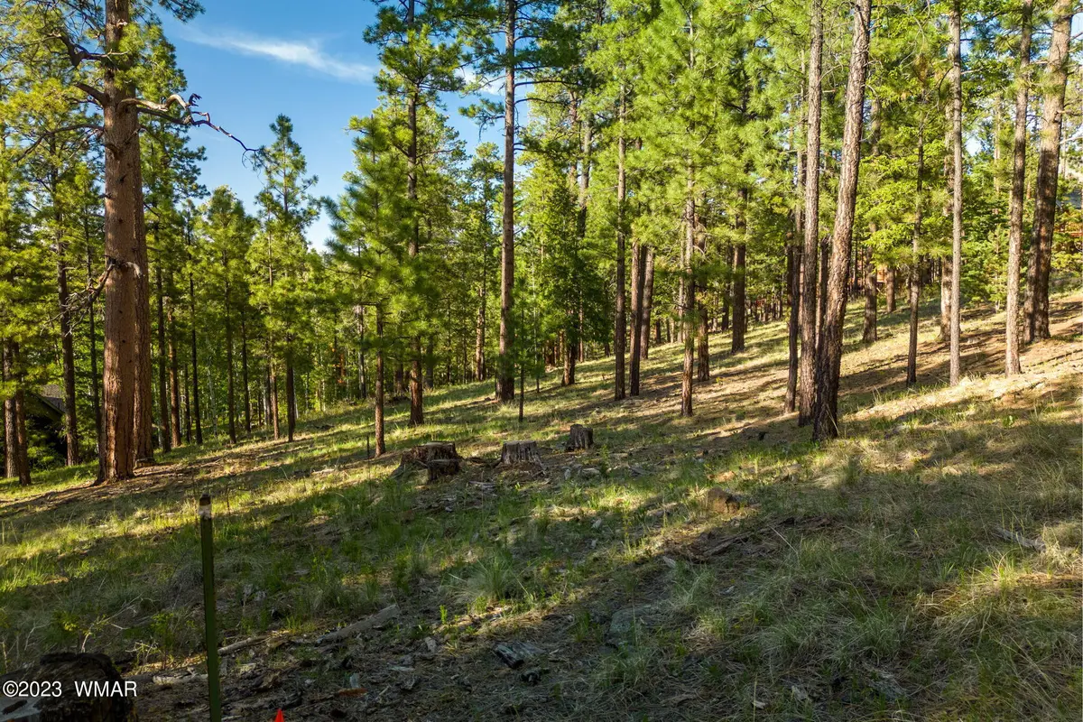 9 N1064, Greer, AZ 85927 - #1