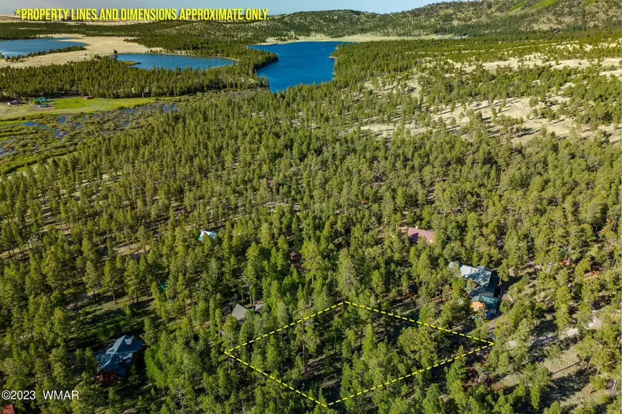 9 N1064, Greer, AZ 85927 - #2