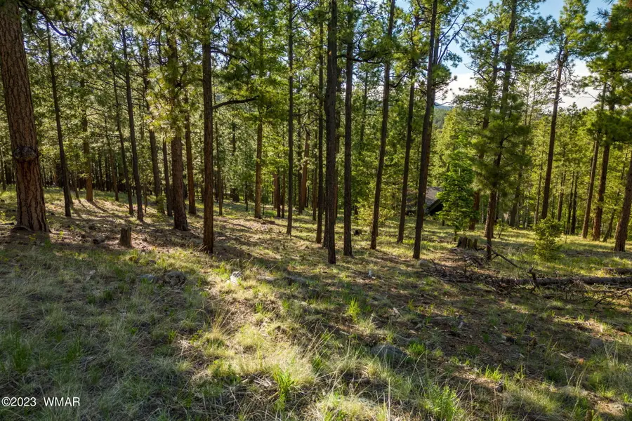 9 N1064, Greer, AZ 85927 - #3