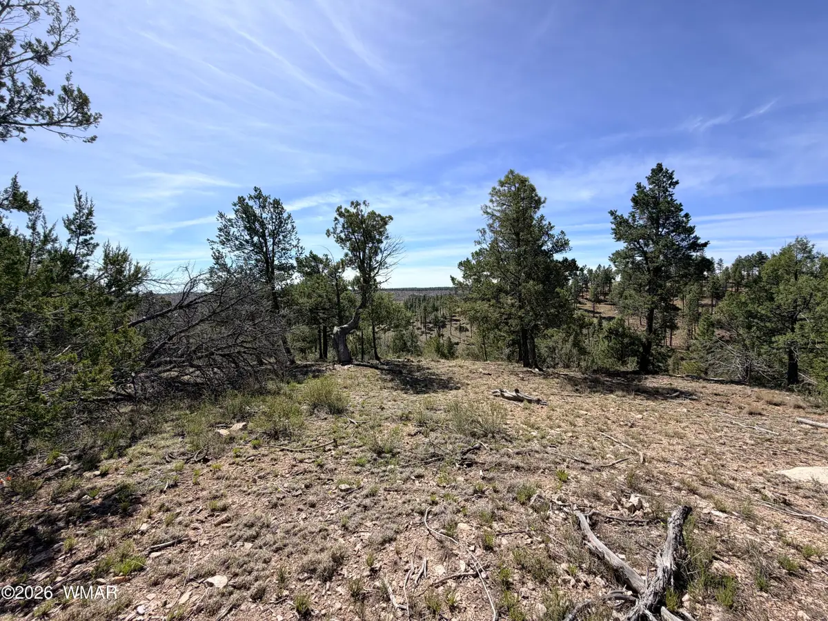 5088 Morning View Drive, Happy Jack, AZ 86024 - #1