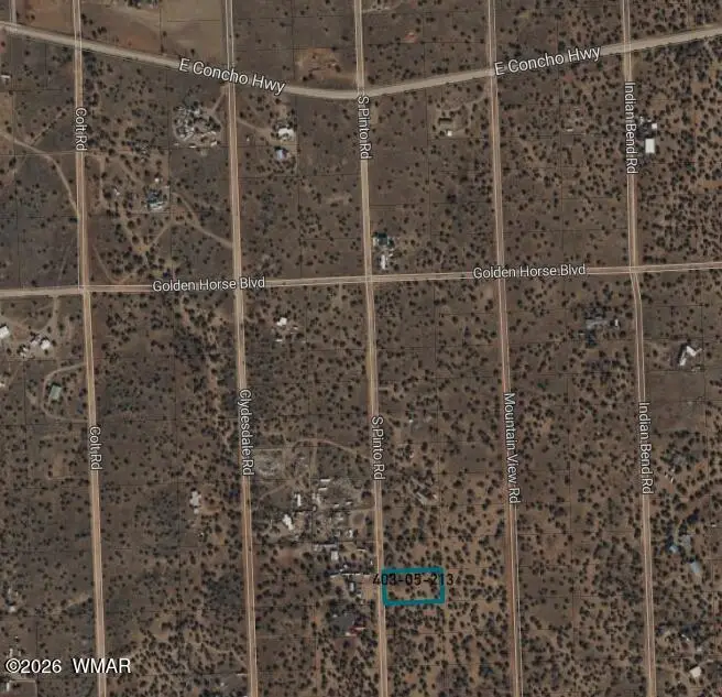4445 E Pinto Road, Snowflake, AZ 85937 - #3