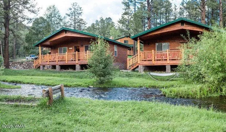 Cabin 94 Main Street, Greer, AZ 85927 - #2