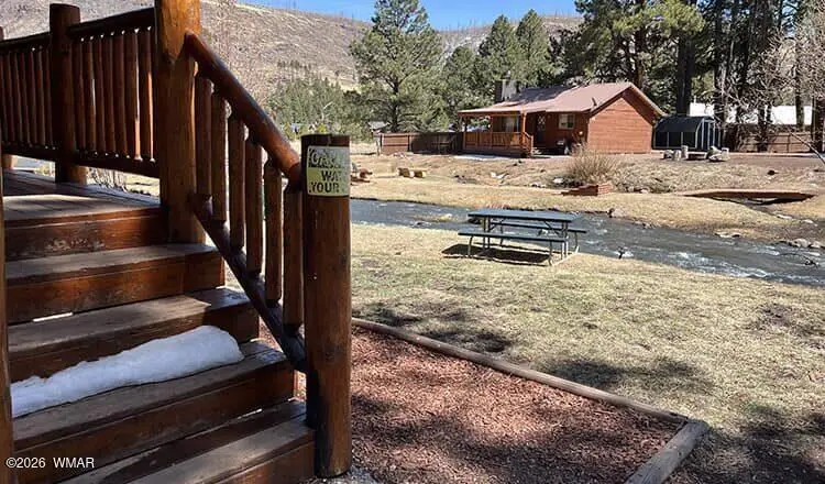 Cabin 94 Main Street, Greer, AZ 85927 - #3