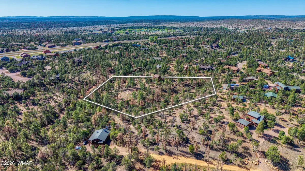 2836 Homestead Drive, Overgaard, AZ 85933 - #1