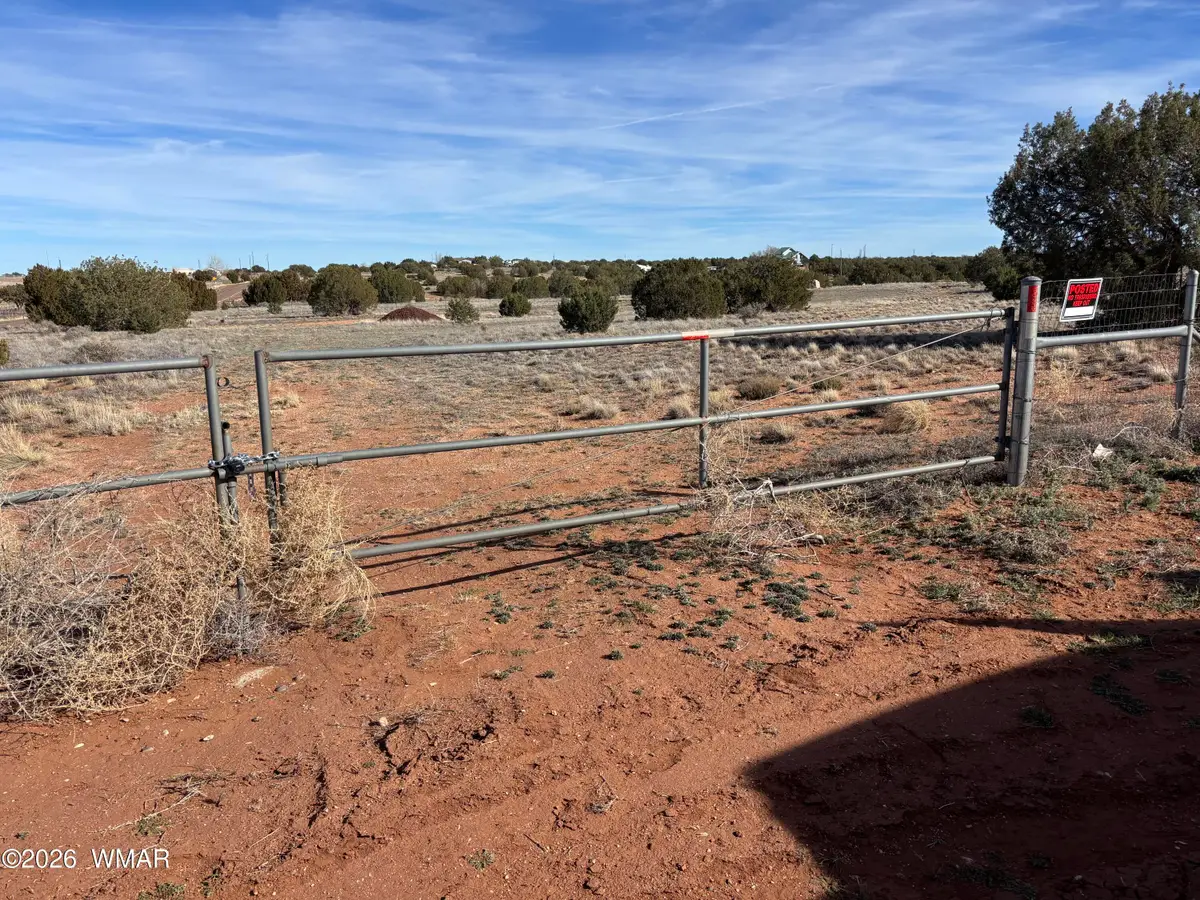 4533 Appaloosa Road, Snowflake, AZ 85937 - #1