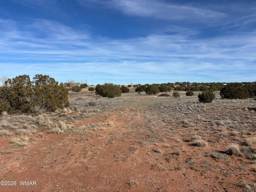 4533 Appaloosa Road, Snowflake, AZ 85937 - #3