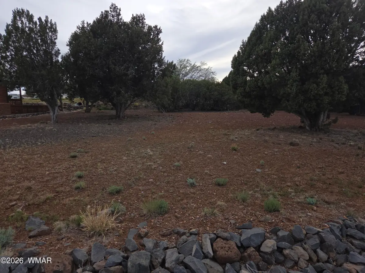 1934 Passage Drive, Show Low, AZ 85901 - #1