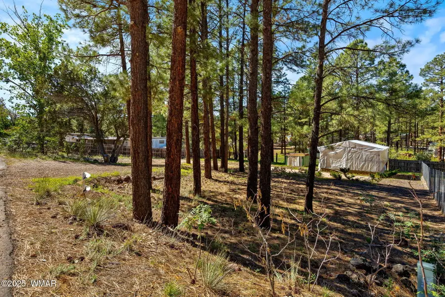 1860 N 22nd Drive, Show Low, AZ 85901 - #3