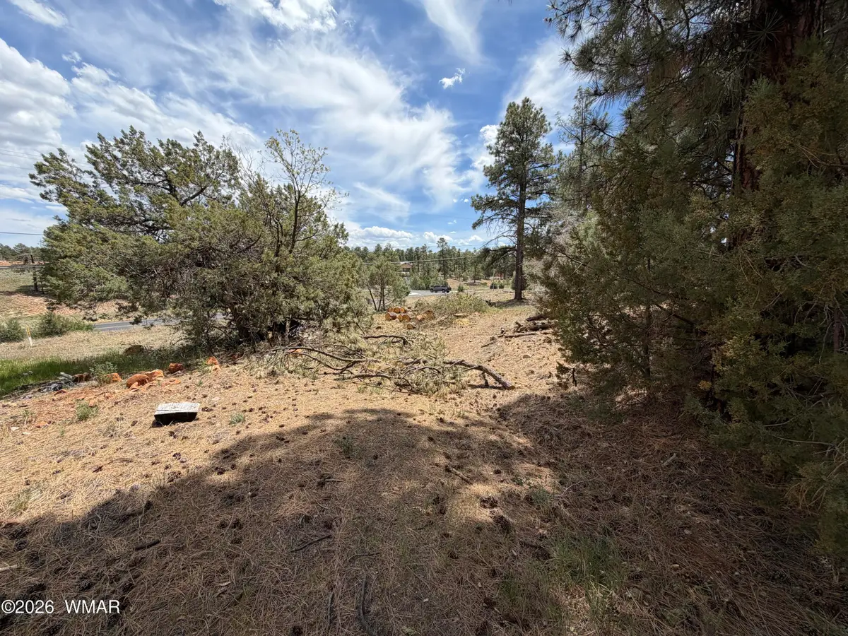 11 W Oliver, Show Low, AZ 85901 - #1