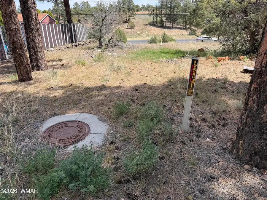 11 W Oliver, Show Low, AZ 85901 - #2