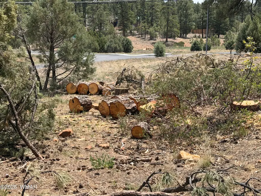 11 W Oliver, Show Low, AZ 85901 - #3