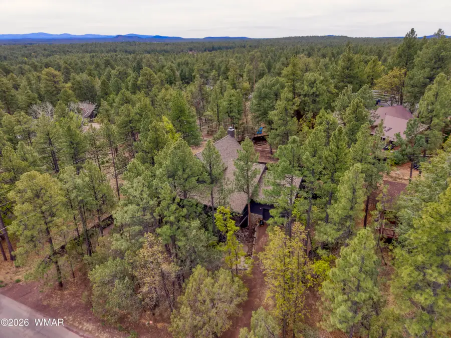 4732 High Drive, Lakeside, AZ 85929 - #2