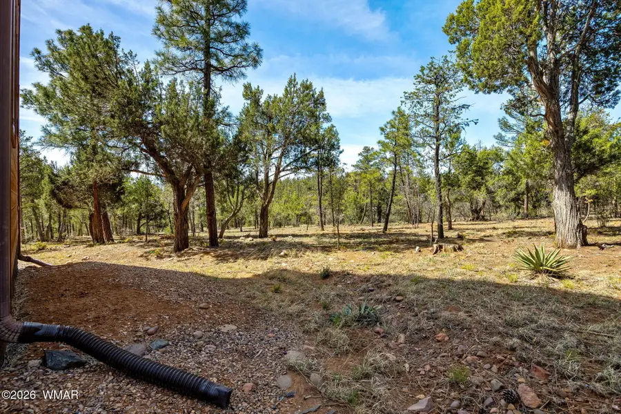 745 E New Pine Way, Show Low, AZ 85901 - #3
