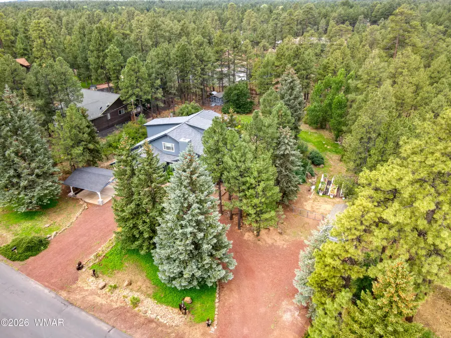 3042 Mark Twain Drive, Pinetop, AZ 85935 - #2