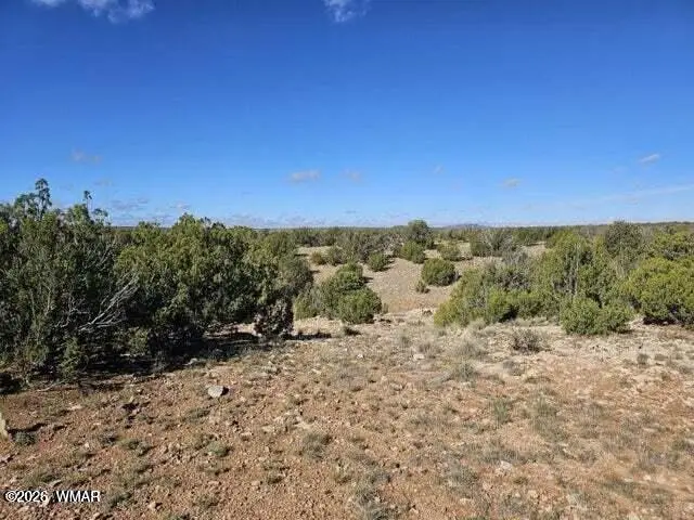 1725 Mcallister Avenue, Heber, AZ 85928 - #2