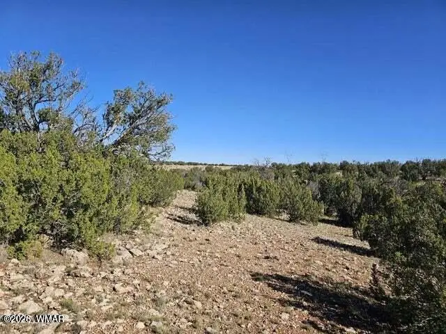 1725 Mcallister Avenue, Heber, AZ 85928 - #3