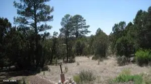 Address Withheld By Seller, Overgaard, AZ 85933 - #1