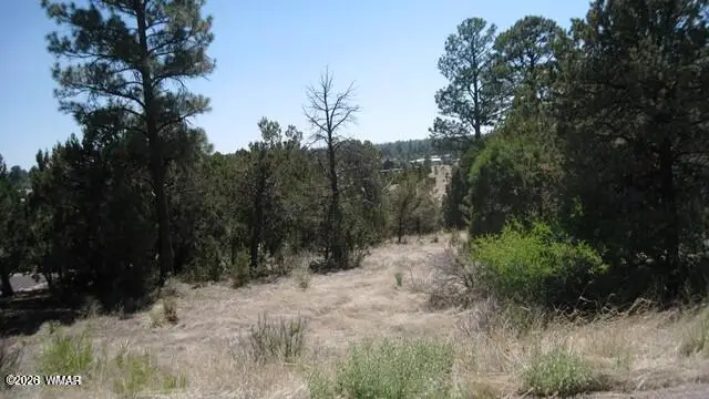 Address Withheld By Seller, Overgaard, AZ 85933 - #2