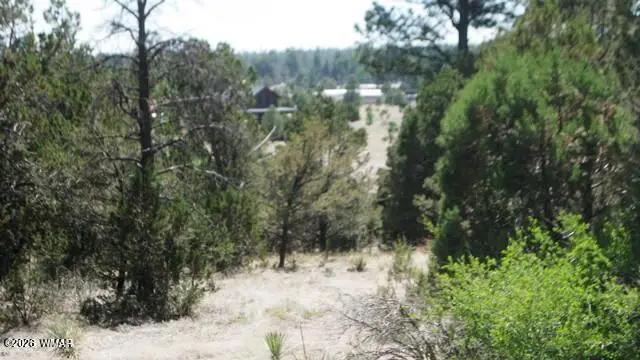Address Withheld By Seller, Overgaard, AZ 85933 - #3